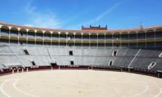 Faker遭遇二十连败，掘金教练面临压力！